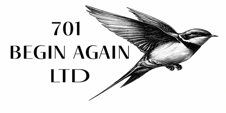 701 Begin Again Ltd — a swallow in flight